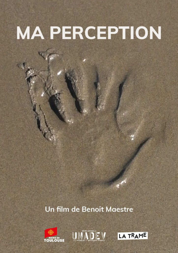 affiche du film ma perception